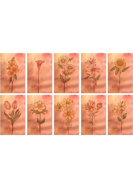 Hediye Paketi Sallanan Etiketi 50 Adet