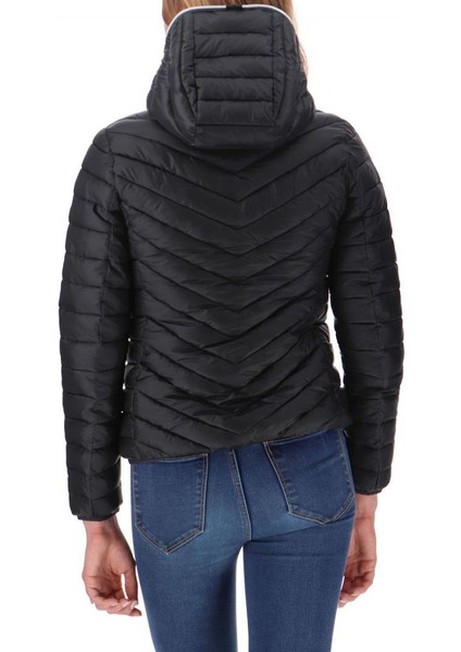 Noroha Kadın Mont Noir modelleri