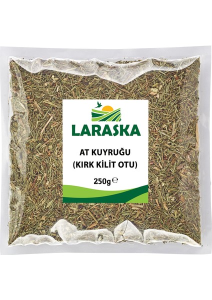 Kırk Kilit Otu (At Kuyruğu) 250 gr