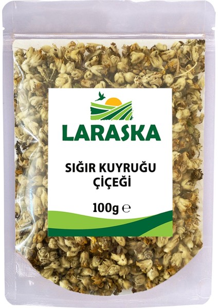 Sığır Kuyruğu Çiçeği 100 gr