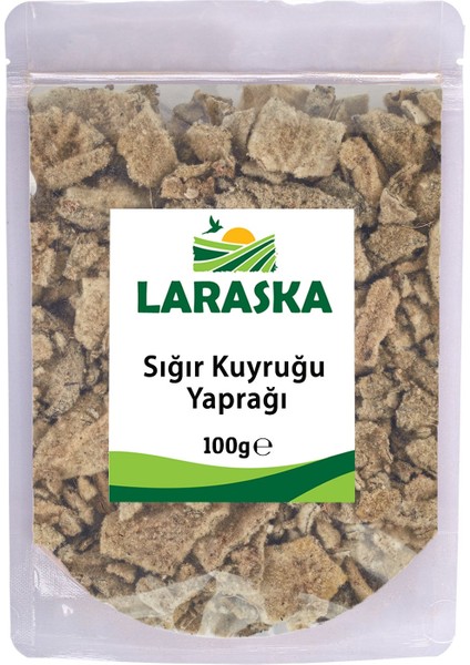 Sığır Kuyruğu Yaprağı 100 gr