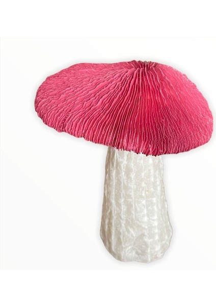 Mermer Kaideli Fuşya Doğal Deniz Mantarı