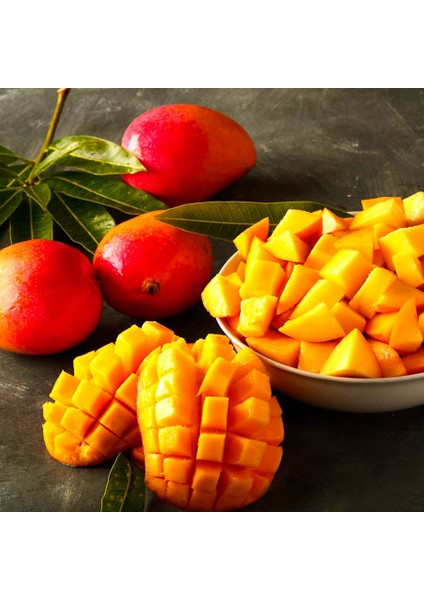 Tüplü Tropikal Egzotik Mango Fidanı 5 Adet