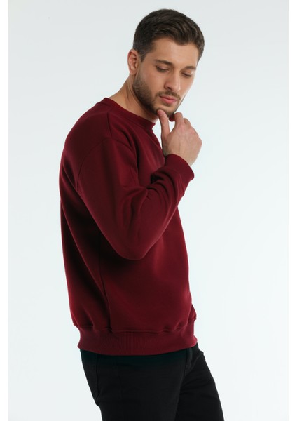 Erkek Relaxed Fit Sweatshirt - AL-SW0002 modelleri