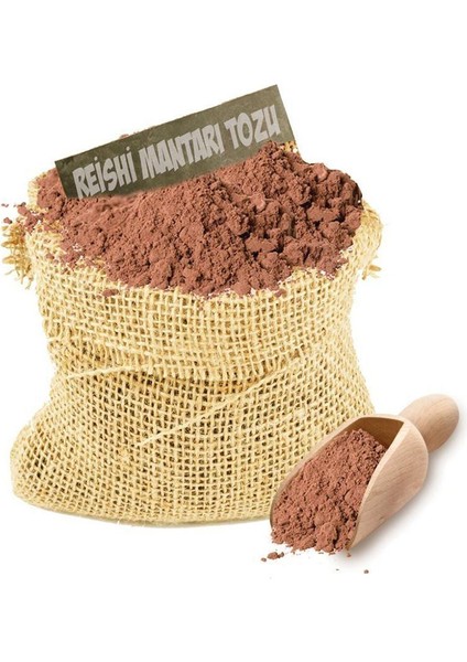 Aktar Diyarı Reishi Mantarı Tozu (Ganoderma Lucidum Powder) 100 gr Aktar Diyarı