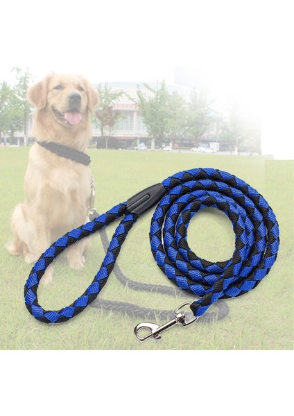 5ft Köpek Gezdirme Kayışı - Mavi