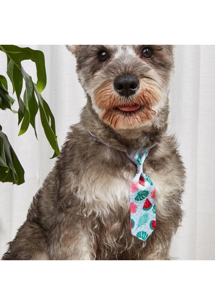 TG-HP108 Desenli Kedi Köpek Papyonu fiyatları