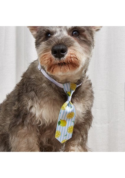 TG-HP108 Desenli Kedi Köpek Papyonu fiyatları