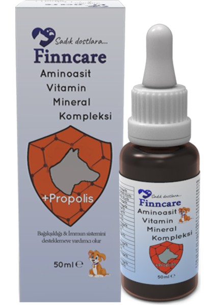 Amino Asit Vitamin Mineral Kompleksi Propolis