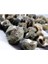 %100 Naturel Doğal Gerçek Deniz Kabuğu 500 Gram MMM4760 1