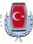 Türk Bayrağı Metal Arma 2