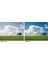 62 mm Circular Polarize Filtre 2