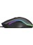 SM-F09 Titanio USB 7200DPI Rgb Ledli Oyuncu Mouse 4