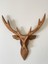Ahşap Geyik Kafası 2 Boyutlu Ceviz Renk 1