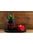 3'lü Sukulent Saksı Tealight Mumluk Seti 01 1