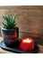 3'lü Sukulent Saksı Tealight Mumluk Seti 01 2