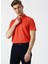 Basic Nar Çiçeği Polo T-Shirt 3