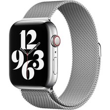 Fogy Apple Watch Uyumlu 2 3 4 5 6 Se 40MM Minalo Metal Hasır Kordon