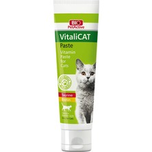 Bio Pet Active  Kediler Için Vitamin 100 ml