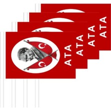 Bal10 Dünyası 10 Adet Çubuklu Kağıt Atatürk Çıtalı Sopalı Ay Yıldız Baskılı Bayrak 13 x 20 cm