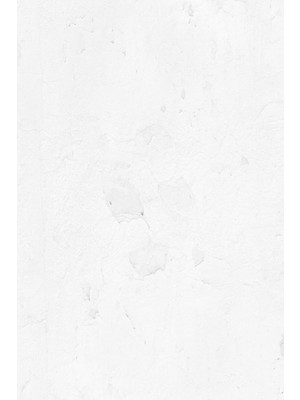 Kolhis Duvar Stiker Kaplama 50X100