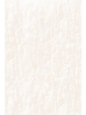 Kolhis Duvar Stiker Kaplama 60X300