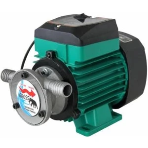 Mazot Aktarma Pompası 220 V ¾ GR220
