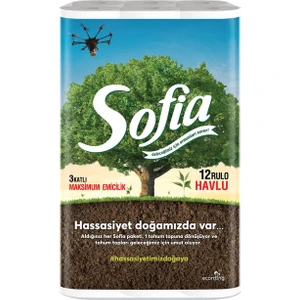 3 Katlı 12'li Kağıt Havlu