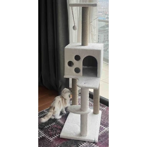 Kedi Tırmalama ve Oyun Evi