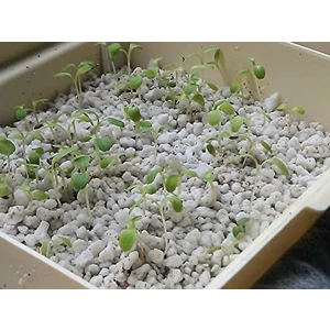 Tarım Perliti 20 Litre