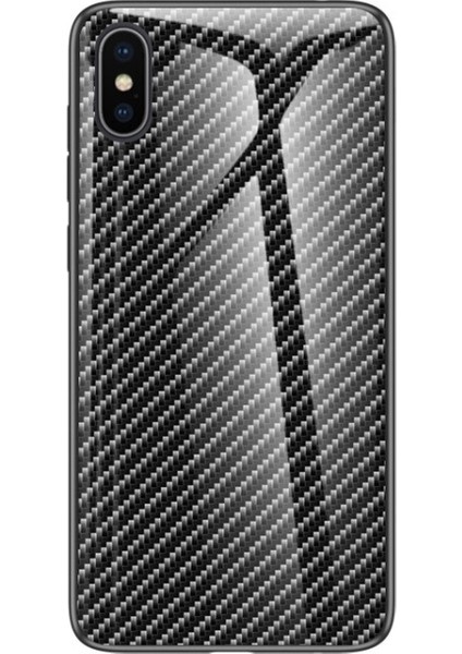Apple iPhone Xs / Apple iPhone x Uyumlu Karbon Fiber Doku Temperli Cam + Pc + Tpu Hibrit Telefon Kılıfı (Yurt Dışından)