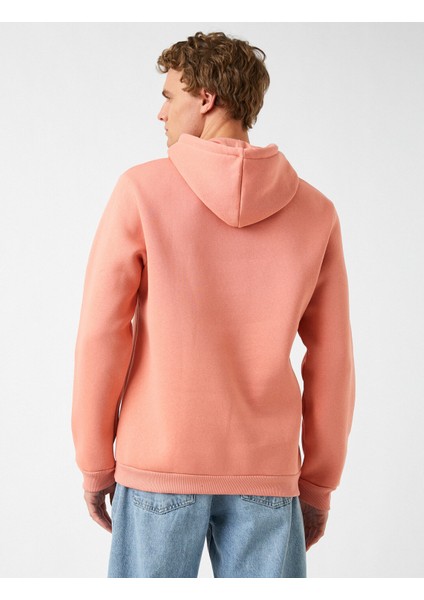 Erkek Kaktüs İşlemeli Kapşonlu Sweatshirt fırsatları