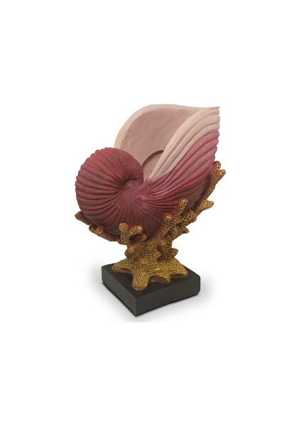 Dekoratif Polyester Mercanlı Deniz Kabuğu Vazo Biblo (27X21CM)