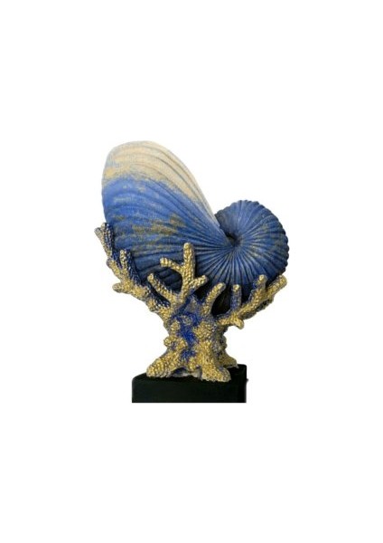 Dekoratif Polyester Mercanlı Deniz Kabuğu Vazo Biblo (27X21CM)