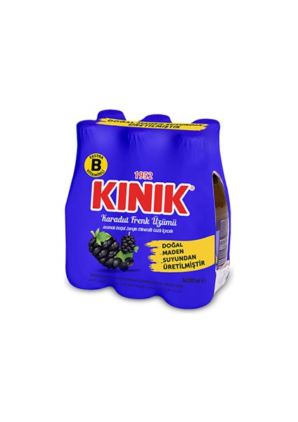 Soda Karadut-Frenk Üzümü 200 ml 6'lı