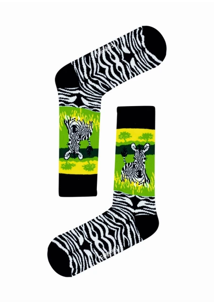 Carnaval Socks Zebra Desenli  Renkli  Çorap