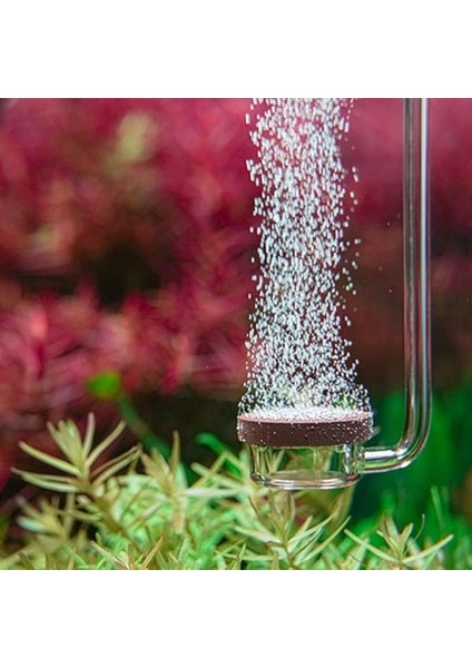 Neo Co2 Diffuser Normal Original S modelleri