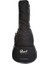 Elektro Klasik Gitar, Çantalı ,open Pore, Ladin 3