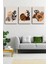 Gift Pack Soyut Modern Minimal Kanvas Tablosu 3'lü Canvas Tablo Seti 1