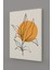 Gift Pack Soyut Modern Minimal Kanvas Tablosu 3'lü Canvas Tablo Seti 2