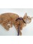 Ayarlanabilir Kedi Tasması 120 cm (4 Renk) 2