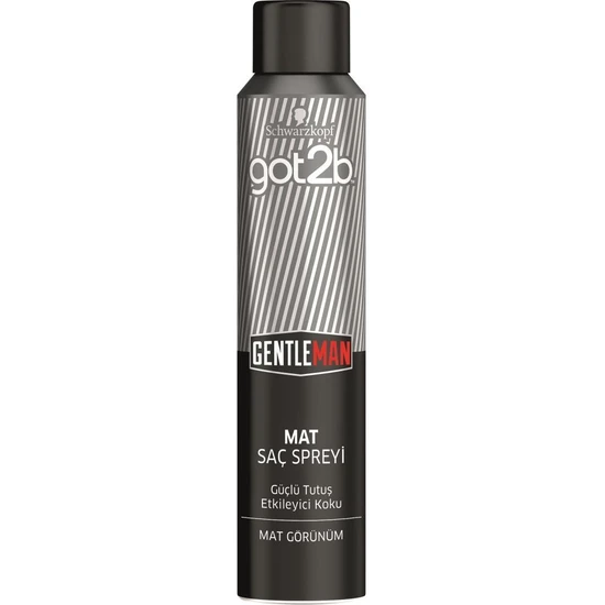 GOT2B GENTLEMAN MAT SAÇ SPREYİ 200 ML