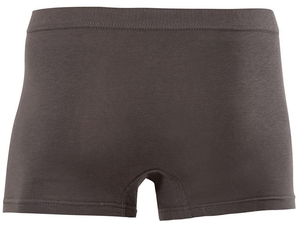 Anıt Erkek Pamuklu Boxer 1271 - 6 Adet görsel 2