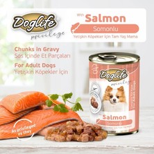 Goldlife Doglife Somonlu Köpek Konserve 400GR x 12 Adet