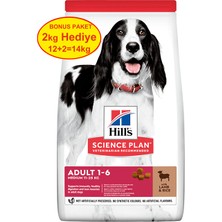 Hill's Kuzu Etli Orta Irk Yetişkin Köpek Maması 12 kg (+2 kg Hediyeli)