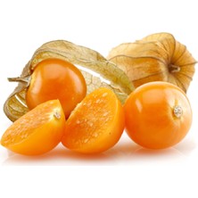 Tropik Meyvelerim Tropikmeyvelerim A ltın Çilek Meyvesi 100 gr (Physalis Peruviana)