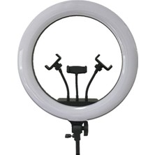 Asfal 210 cm Tripod -Led Halka Işık Youtuber Tiktok Makyaj Stüdyo Işığı  Ring Light