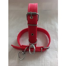 Kozak Lı Küçük Irk Köpek Tasmasi Boy 45-50 cm