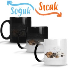 Baskı Dükkanı Cats Collection Three Sihirli Kupa Bardak Porselen