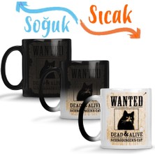 Baskı Dükkanı O Gato De Schrödinger Cat Kedi Sihirli Kupa Bardak Porselen